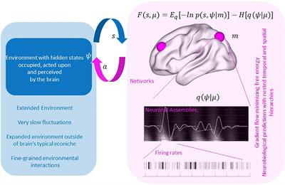 Augmenting Human Selves Through Artificial Agents – Lessons From the Brain